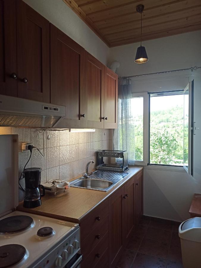 Elli΄s House συγχρονο σπιτι στα πραμαντα Hébergement de vacances *