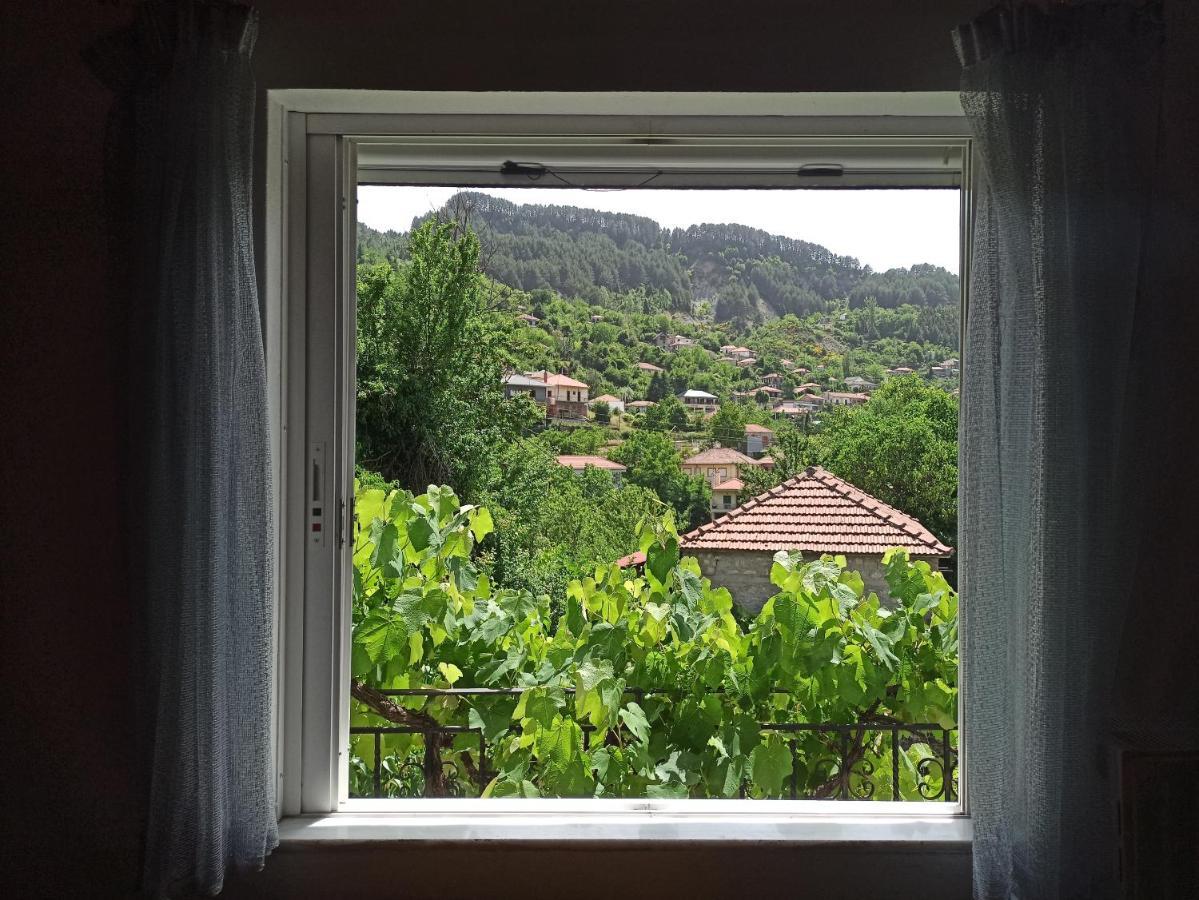 Elli΄s House συγχρονο σπιτι στα πραμαντα Hébergement de vacances *