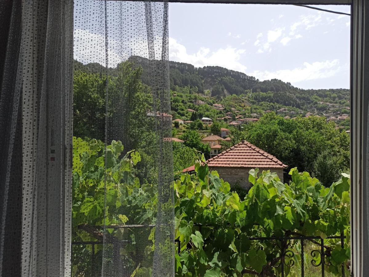 Elli΄s House συγχρονο σπιτι στα πραμαντα